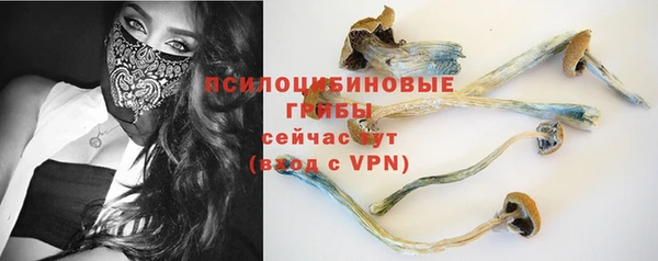 MESCALINE Вяземский