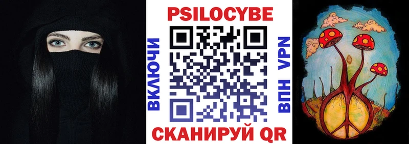 KRAKEN как зайти  Нахабино  Галлюциногенные грибы прущие грибы 